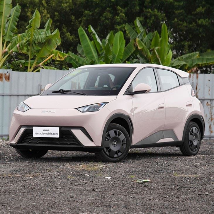 BYD Seagull 305KM Mini Electric Car