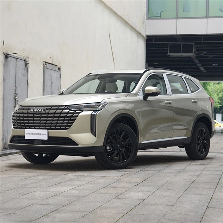 Haval H6 DHT PHEV New Energy Vehicle