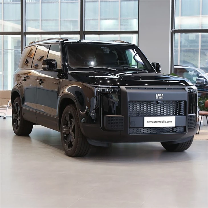 ROX JISHI 01 7 Seats SUV factory